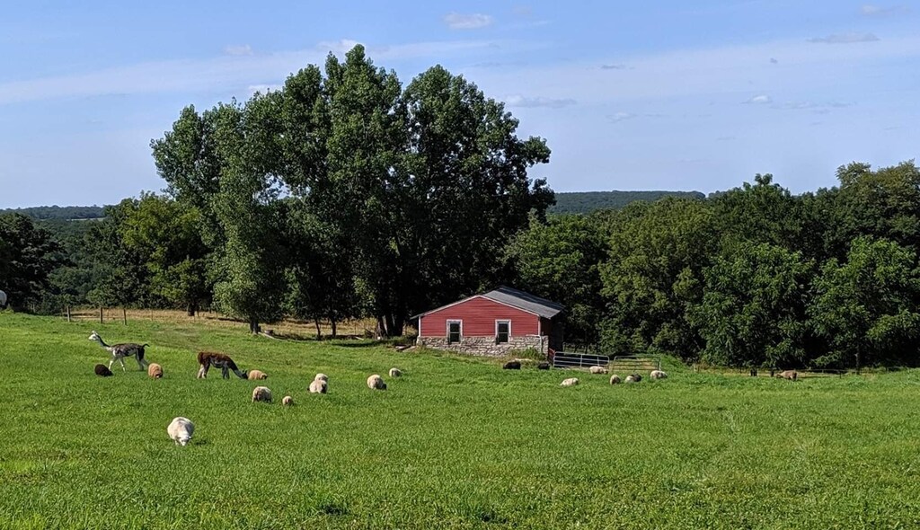 Schmidt Farm An Interactive Farm Experience Preston