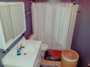 Guest bathroom 