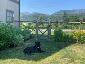 Fully fenced back yard. Views in all directions.