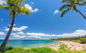 Wailea Beach...Enjoy! Just Steps Away from Wailea Point.