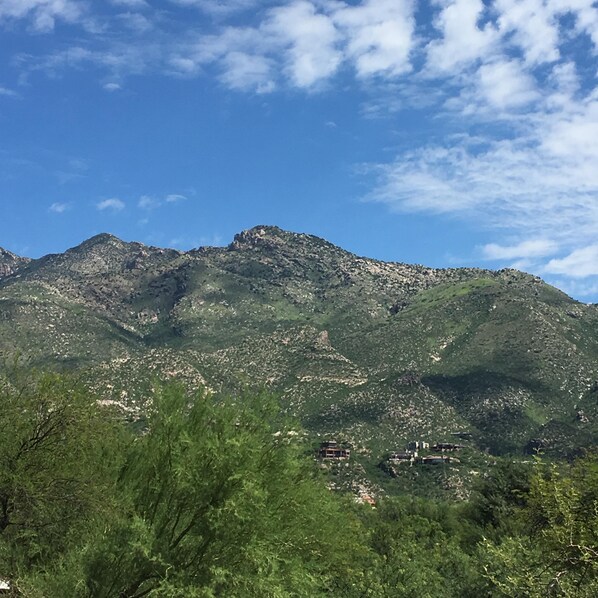 Beautiful mountain views from the condo!