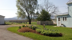 View from driveway showing parking area and back yard. Hot tub behind fence.