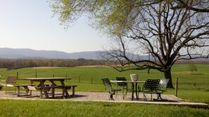 Back patio with 2 tables, fire pit and lovely mountain views.