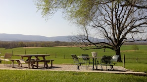 Back patio with 2 tables, fire pit and lovely mountain views.