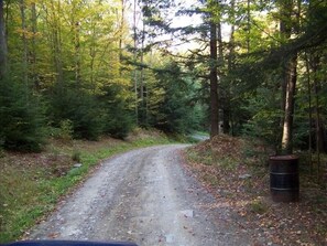 The Lane Leading to Home