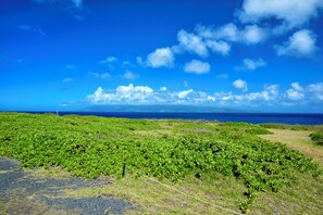 Stay on marked trails to help preserve the land and stay safe.