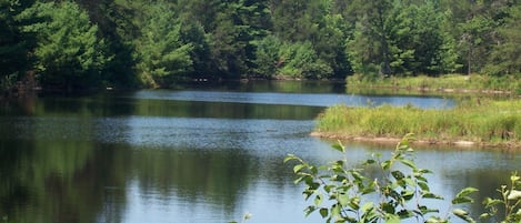 Terrain de l’hébergement 