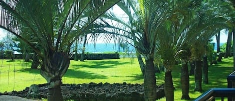 View from living room lanai of Prince Kuhio  Park and ocean beyond.