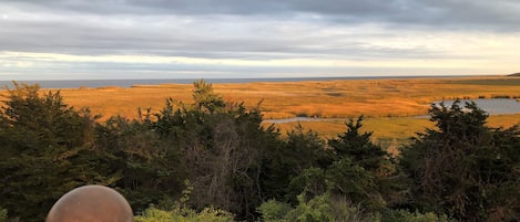 Fall on the cape, from the upper deck