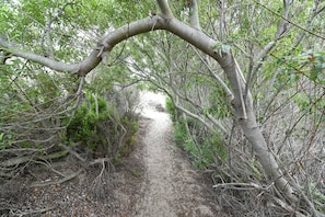 Path to the beach is across the street