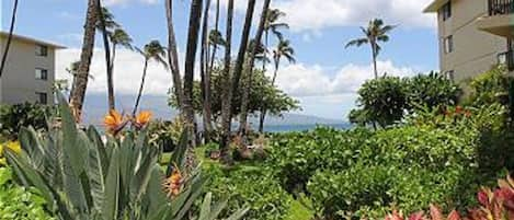 Outside View - Lanai