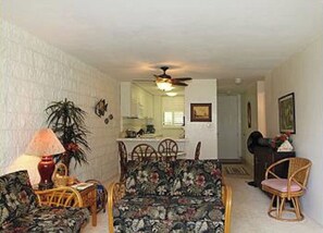 Living Room - Kitchen