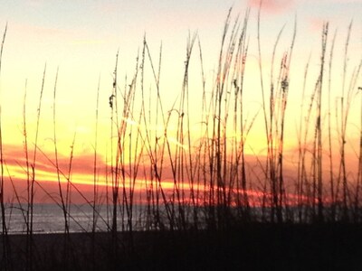 Gulf Shores Beach Condo