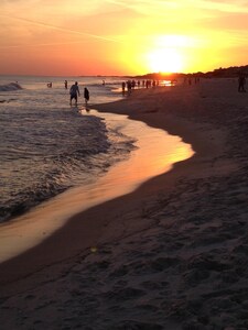 Gulf Shores Beach Condo