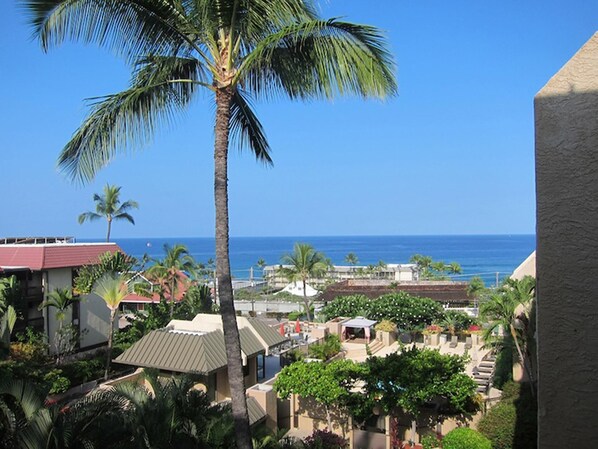 View from the lanai.