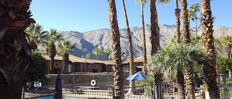 View of San Jacinto Mt from the pool