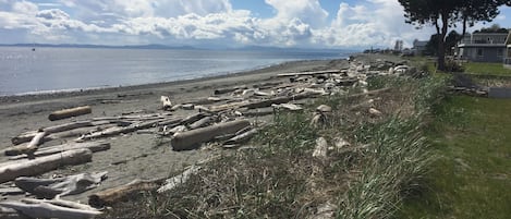 Beach view