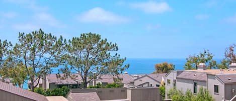 Unobstructed ocean view from the balcony laced with ancient native Torrey pines