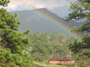 Beautiful rainbow after a spring shower.