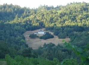 view from a distance