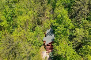 End of the cul de sac surrounded by trees!