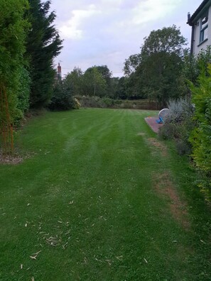 Another garden view