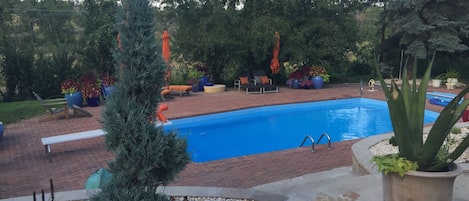 Pool from back patio