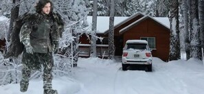 DONNER BLISS! Newly renovated 3 bdrm, 2 bath cabin + hot tub + wood stove. 