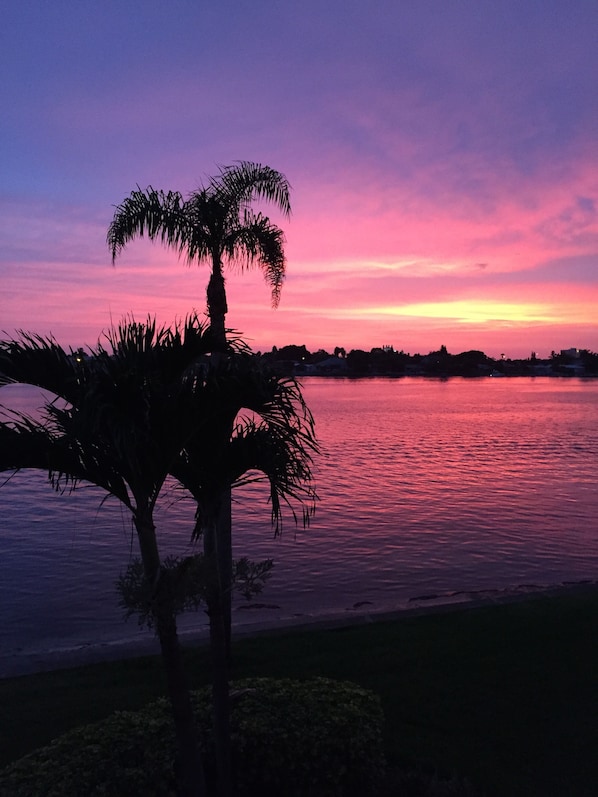 Picture Taken off the Balcony! Back of the condo. Beautiful Sunset Views!