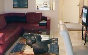 Spacious Living Area