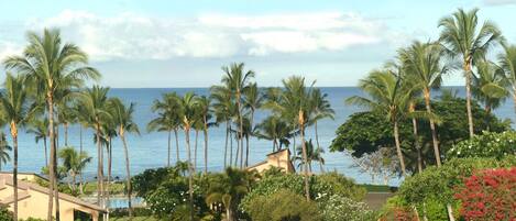 Looking across the green belt to the ocean from our lanai.