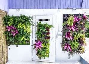 Welcoming bromelia wall