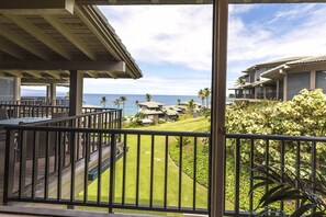 Large lanai overlooking grounds