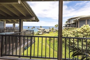 Large lanai overlooking grounds