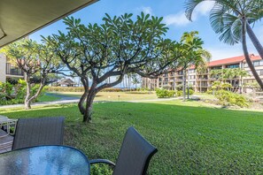 Plumeria Trees and Grass, Perfect for Kids to Play