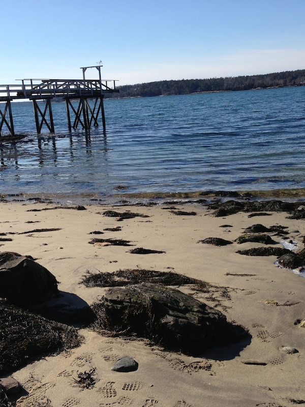 Sandy beach at low tide