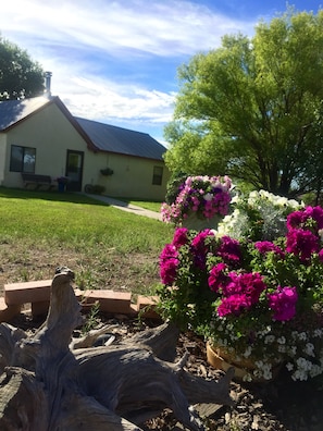 Front of Cottage , August 2016