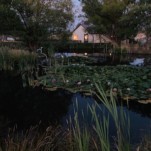 Front of the cottage from across the lily pond