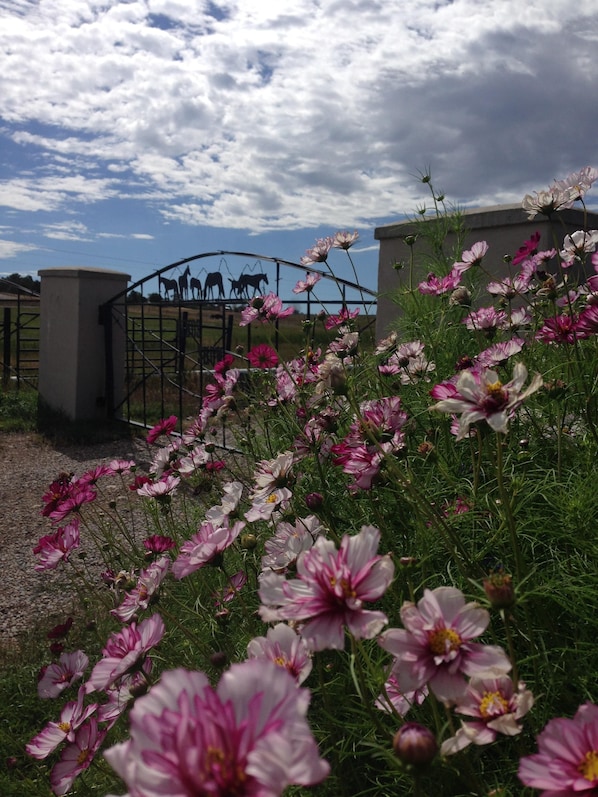 Gate to our farm
