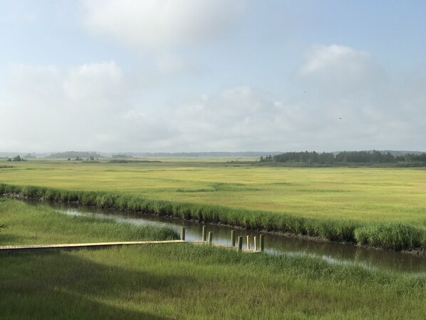 Oklassificerad bild, 1 av 72, knapp