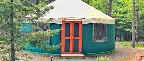 Beech Mtn Yurt