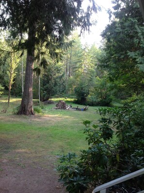 Looking out from the Veranda to the campfire area (with complimentary wood).
