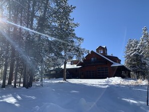 Snow dusting