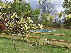 Fully fenced in backyard with heated pool. 