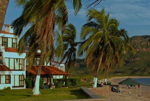 Beachfront porch under the palms.