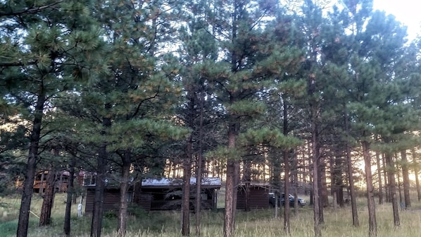 View from cement parking space.