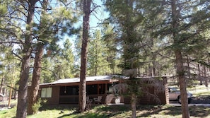 View from the stream.