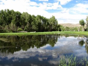 The pond Picture taken by guest