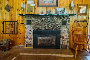 Gas insert fireplace