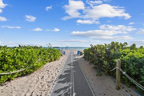 ビーチ